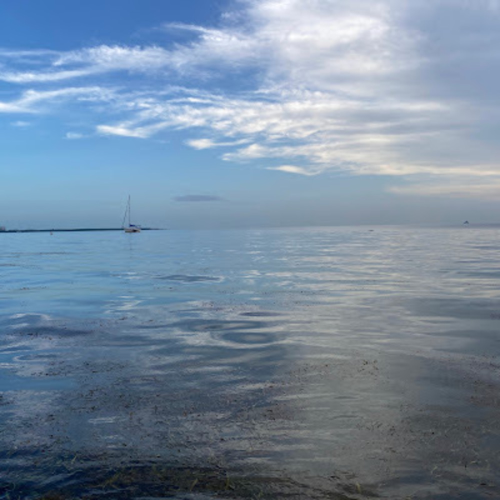 Meet your Posher, Dani